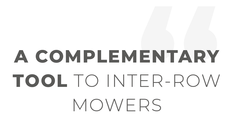 Complementary tool for interrow mowers